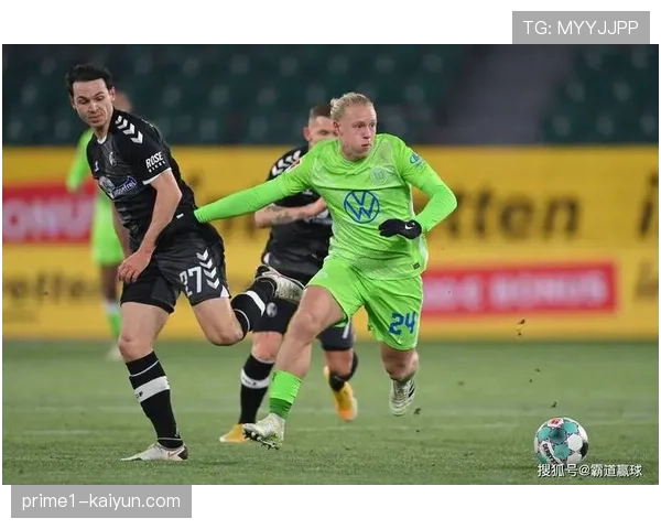 弗赖堡主帅斯特赖希质疑点球判罚过多 认为禁区内身体接触不应均判点球